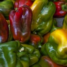 Italian Market